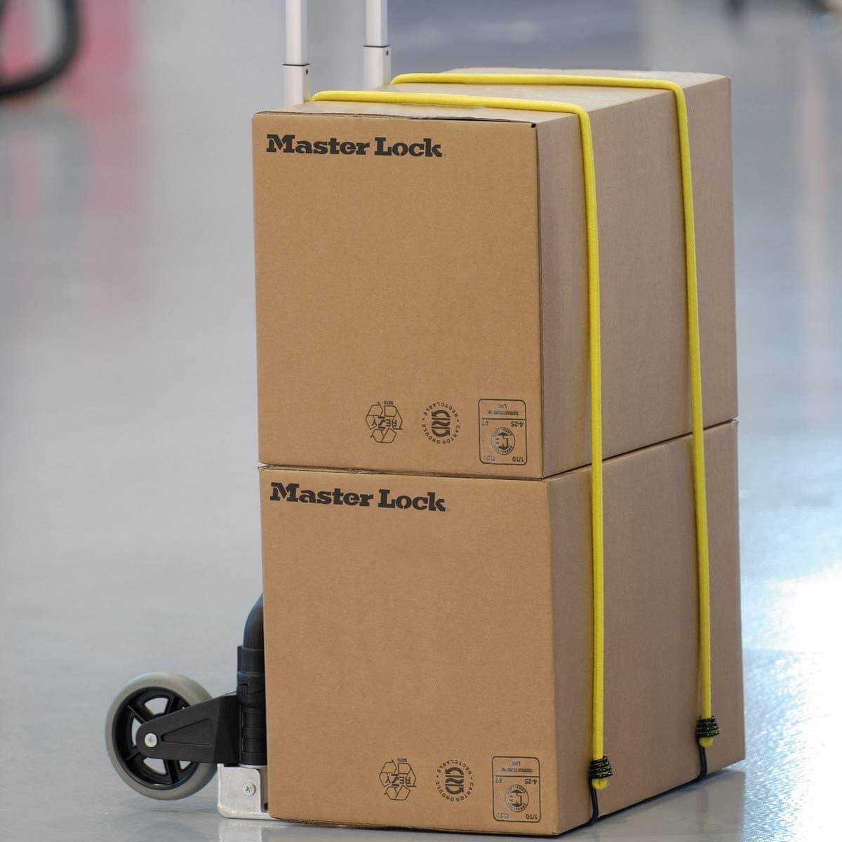 masterlock-set-elasticnih-pritrdilnih-trakov-8mm